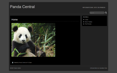 PandaCentral.com
